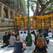 Studienfahrt 2014 Bodhgaya