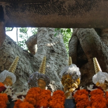 Studienfahrt2014Bodhgaya_12