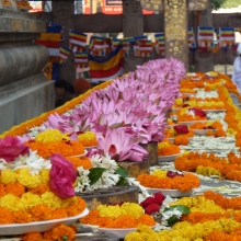 Studienfahrt2014Bodhgaya_39