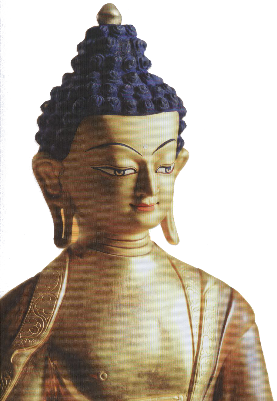 Buddha Basics